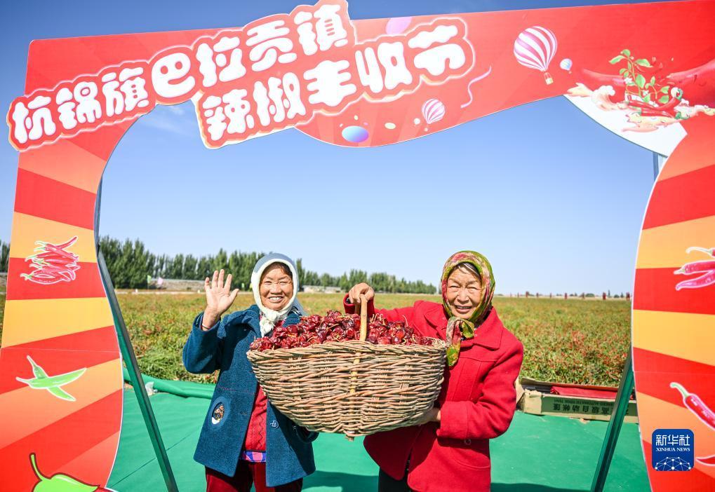 澳门2万赢50万